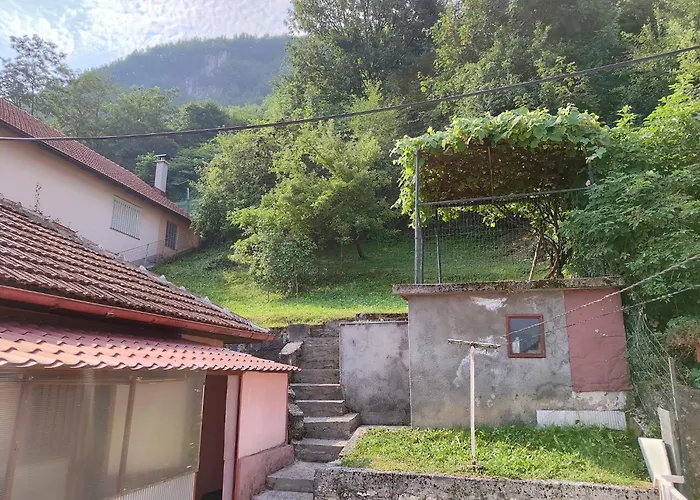 Oaza Mira